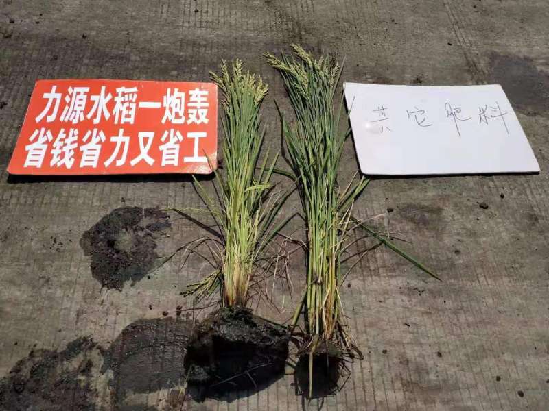 &#38886;&#24503;&#32593;&#31449;&#45;&#40;&#20013;&#22269;&#41;&#26377;&#38480;&#36131;&#20219;&#38886;&#24503;&#32593;&#31449;
